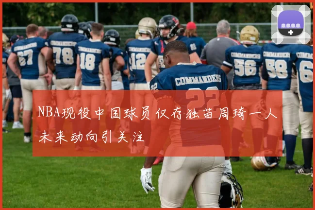 NBA现役中国球员仅存独苗周琦一人未来动向引关注