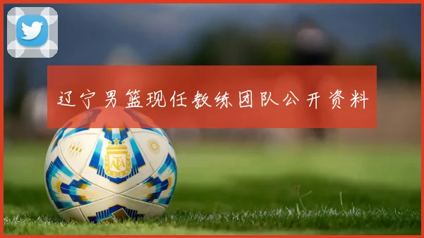 辽宁男篮现任教练团队公开资料