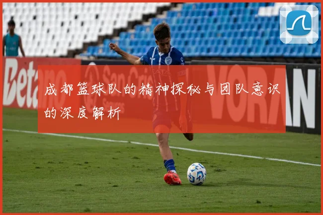 成都篮球队的精神探秘与团队意识的深度解析